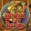 Book of Dead – slotin arvostelu