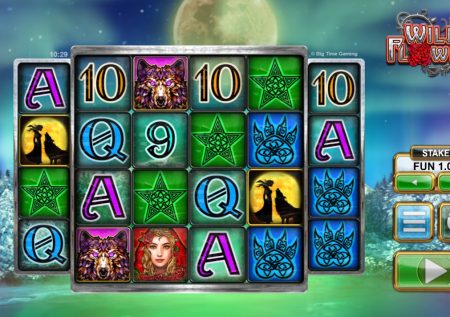 Wild Flower Demo Slot Arvostelu